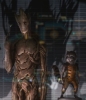 groot raccoon